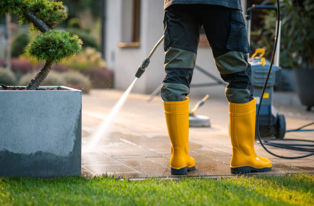 Best Roof Pressure Washing  in Coalinga, CA